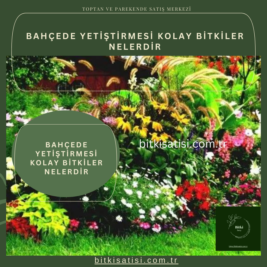 Bahçede yetiştirmesi kolay bitkiler nelerdir