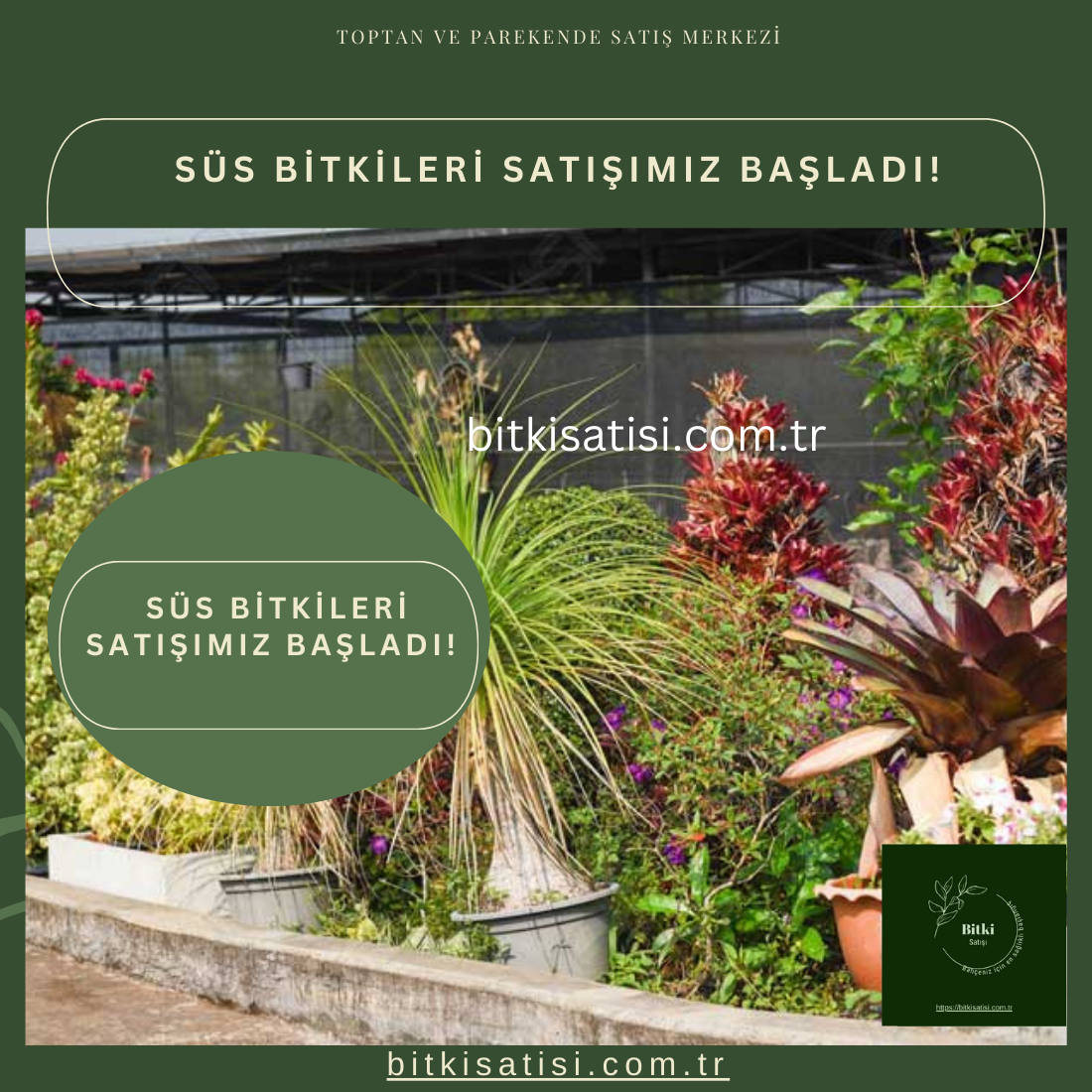 Bahçenizin Güzelliği Uygun Fiyatlarla: Süs Bitkileri Satışımız Başladı!