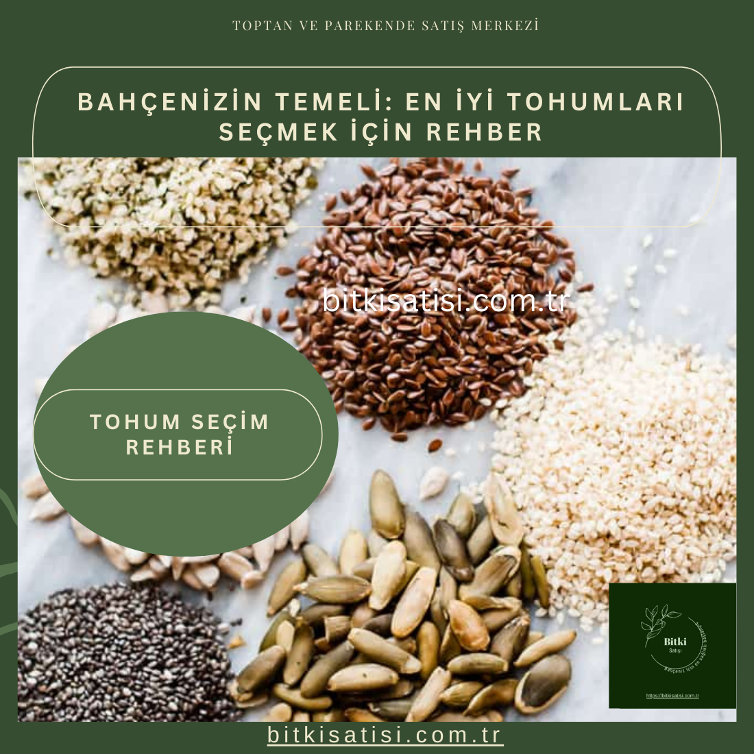 Bahçenizin Temeli: En İyi Tohumları Seçmek İçin Rehber