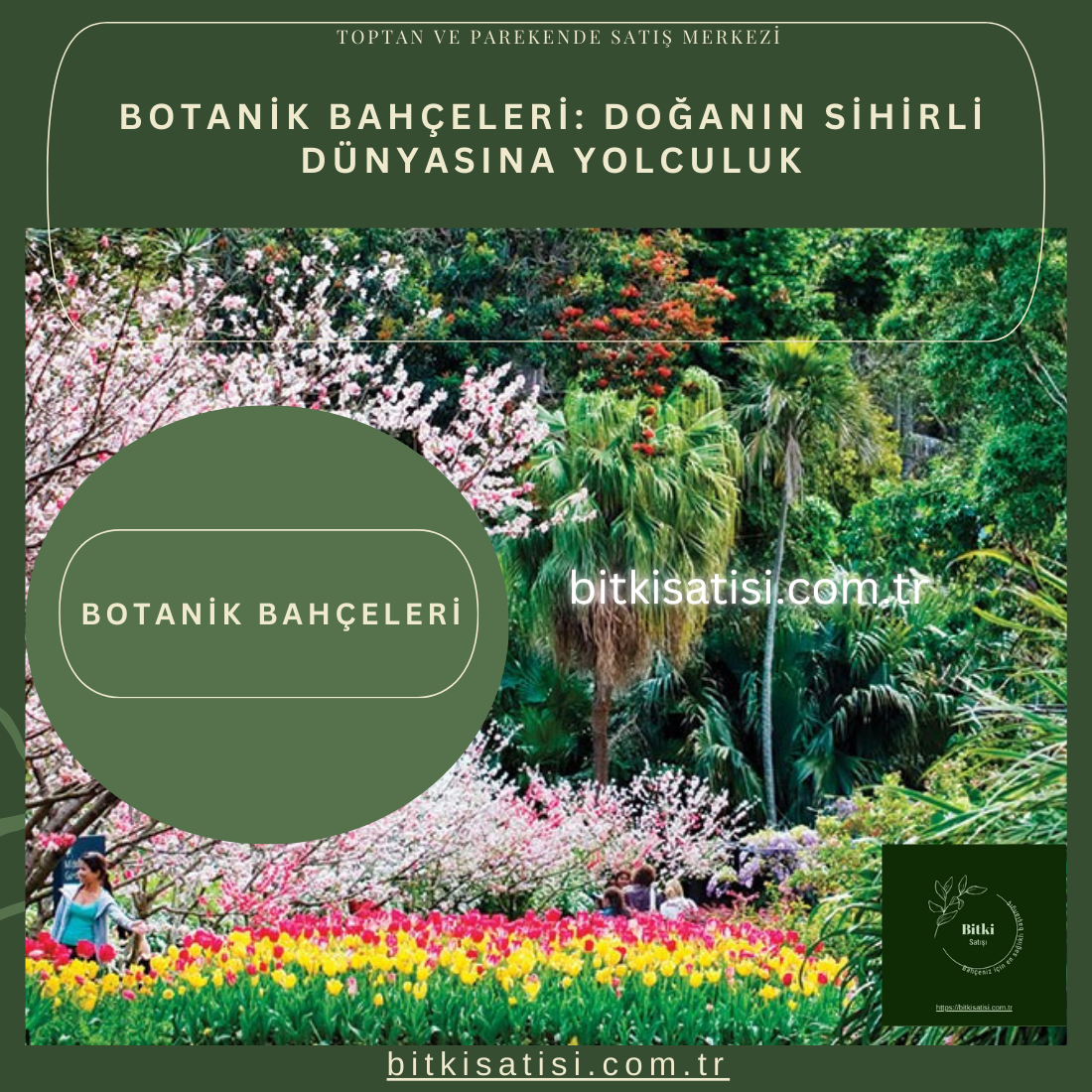 Botanik Bahçeleri: Doğanın Sihirli Dünyasına Yolculuk