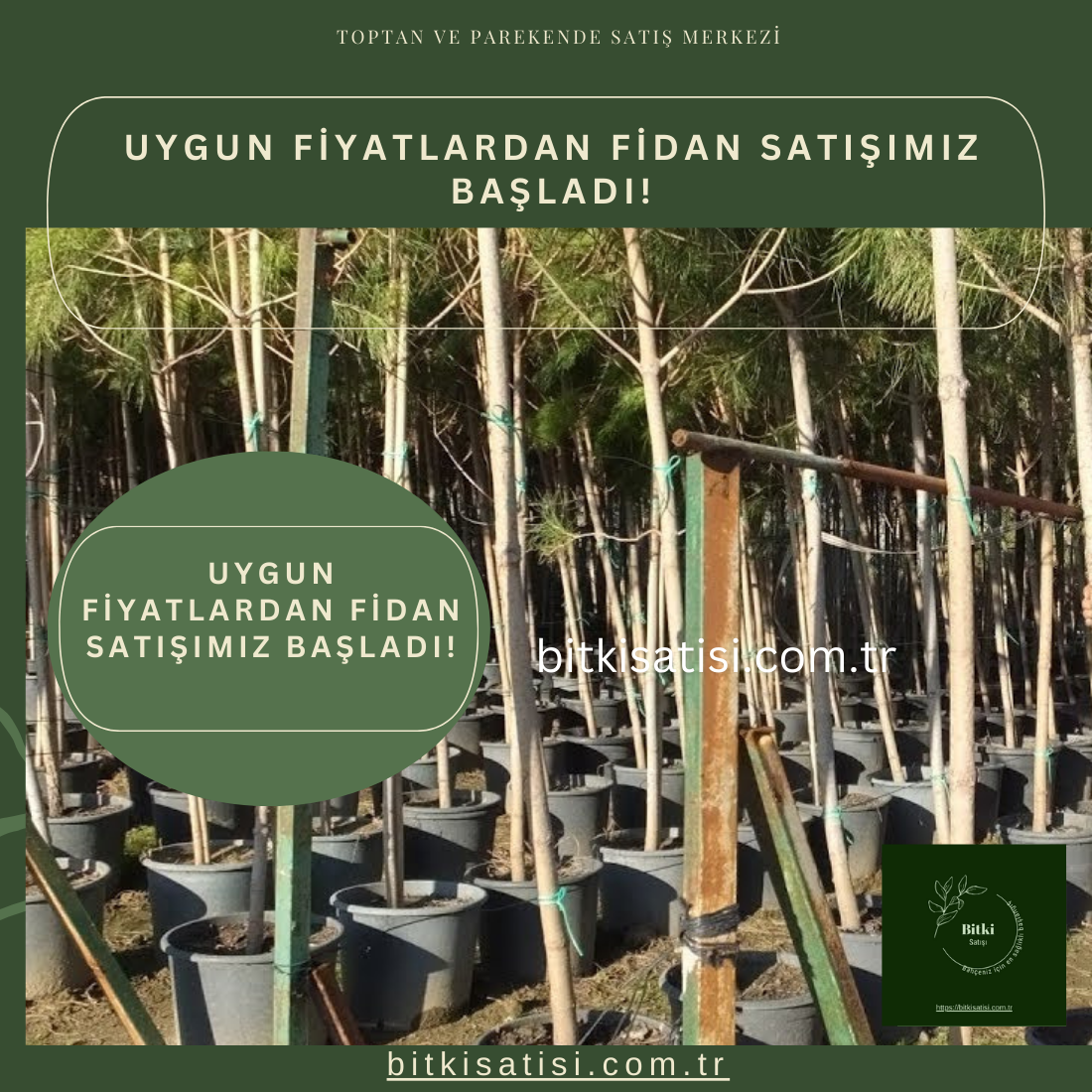 Doğa ile Buluşmanın Uygun Adımları: Uygun Fiyatlardan Fidan Satışımız Başladı!