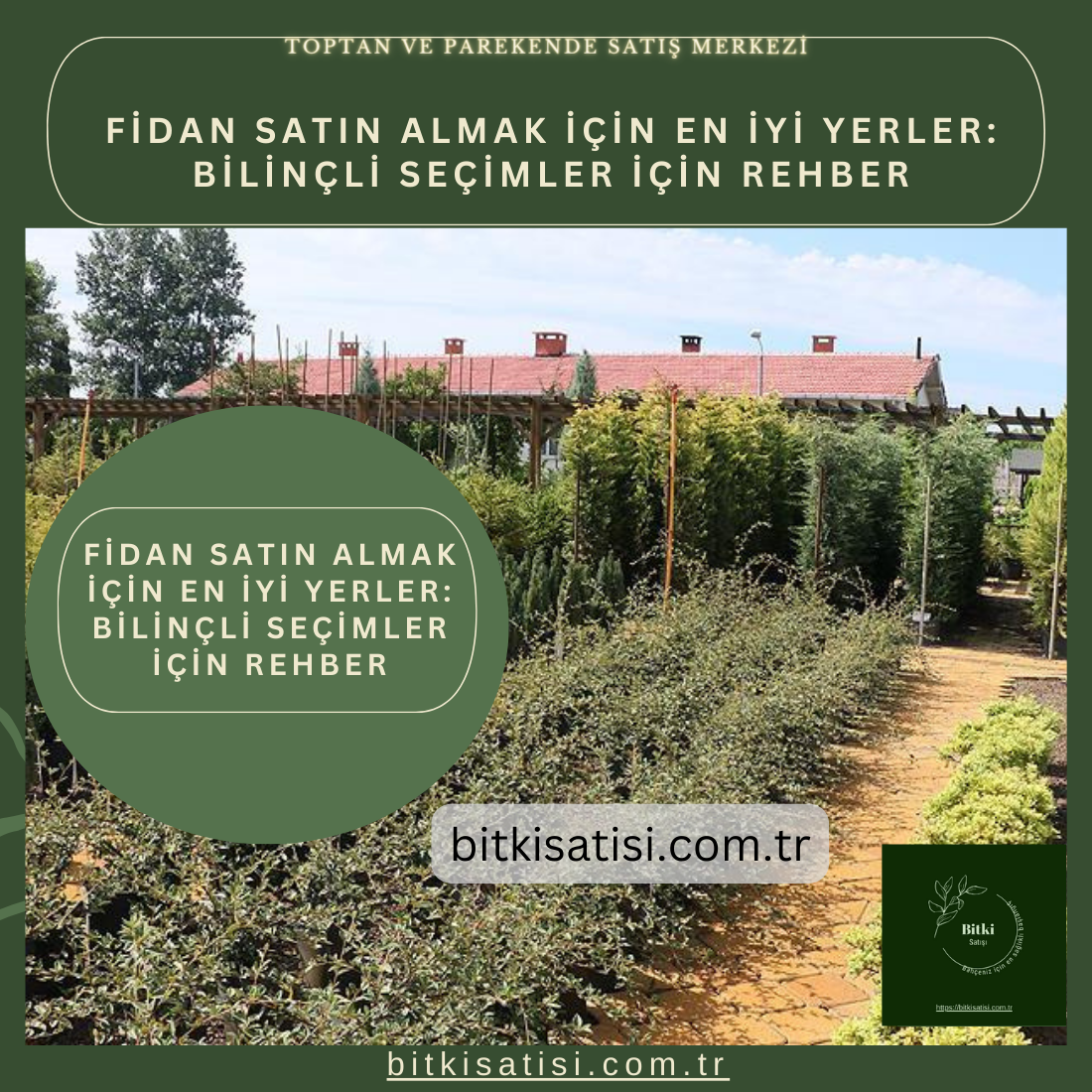 Fidan Satın Almak için En İyi Yerler: Bilinçli Seçimler İçin Rehber