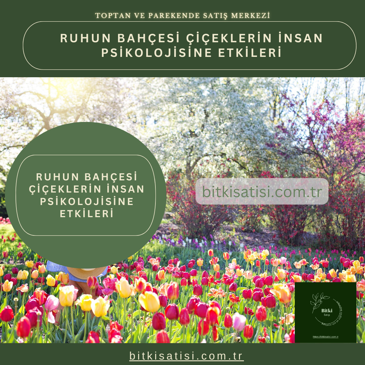 Ruhun Bahçesi :Çiçeklerin İnsan Psikolojisine Etkileri