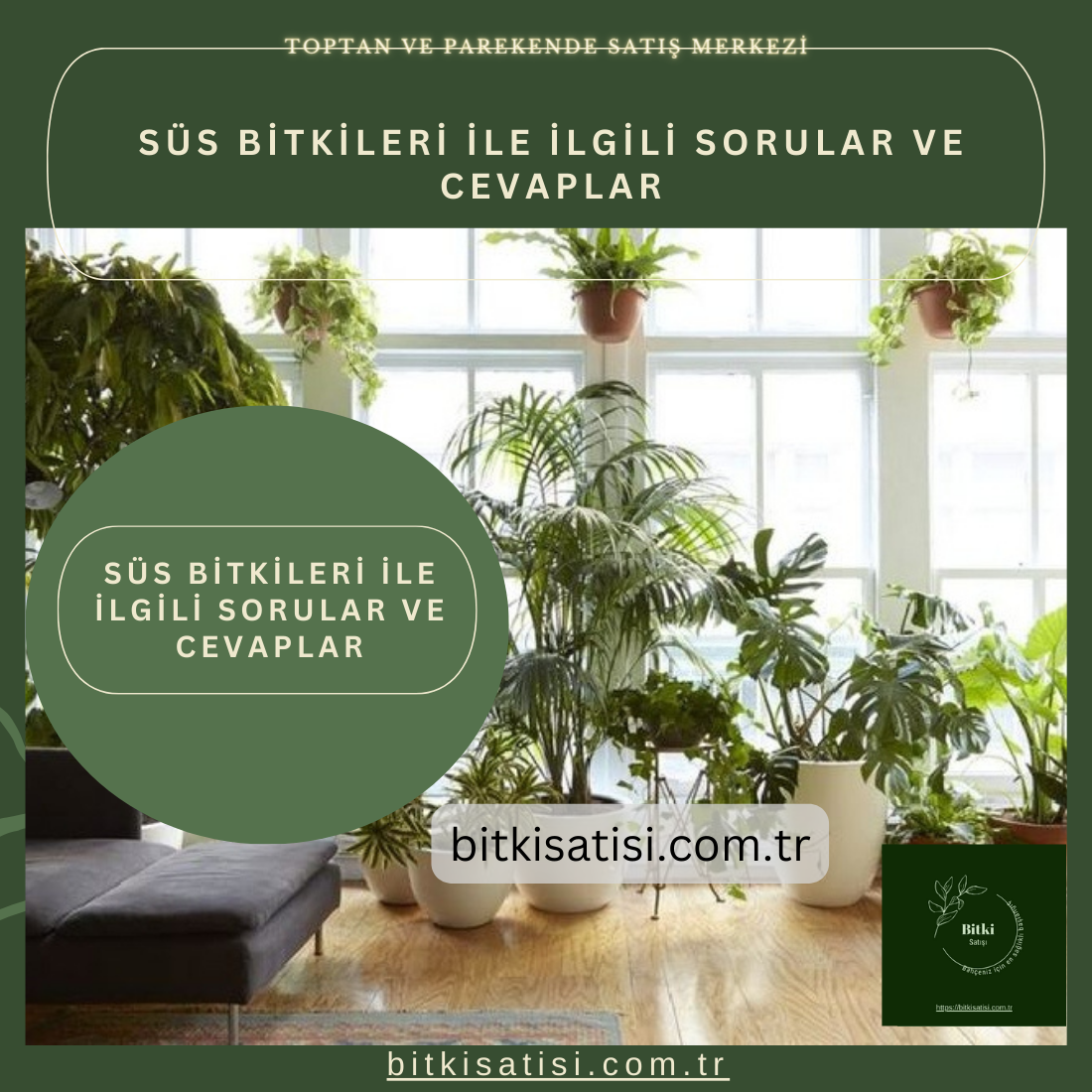Süs bitkileri ile ilgili sorular ve cevaplar