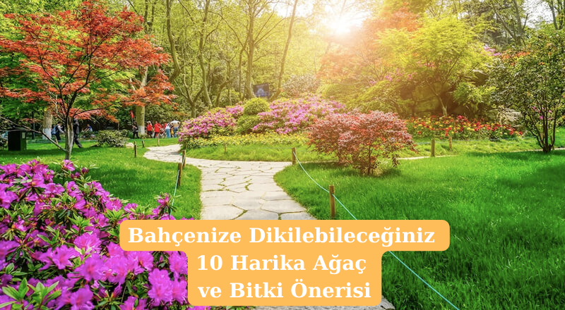 Bahçenize Dikilebileceğiniz 10 Harika Ağaç ve Bitki Önerisi