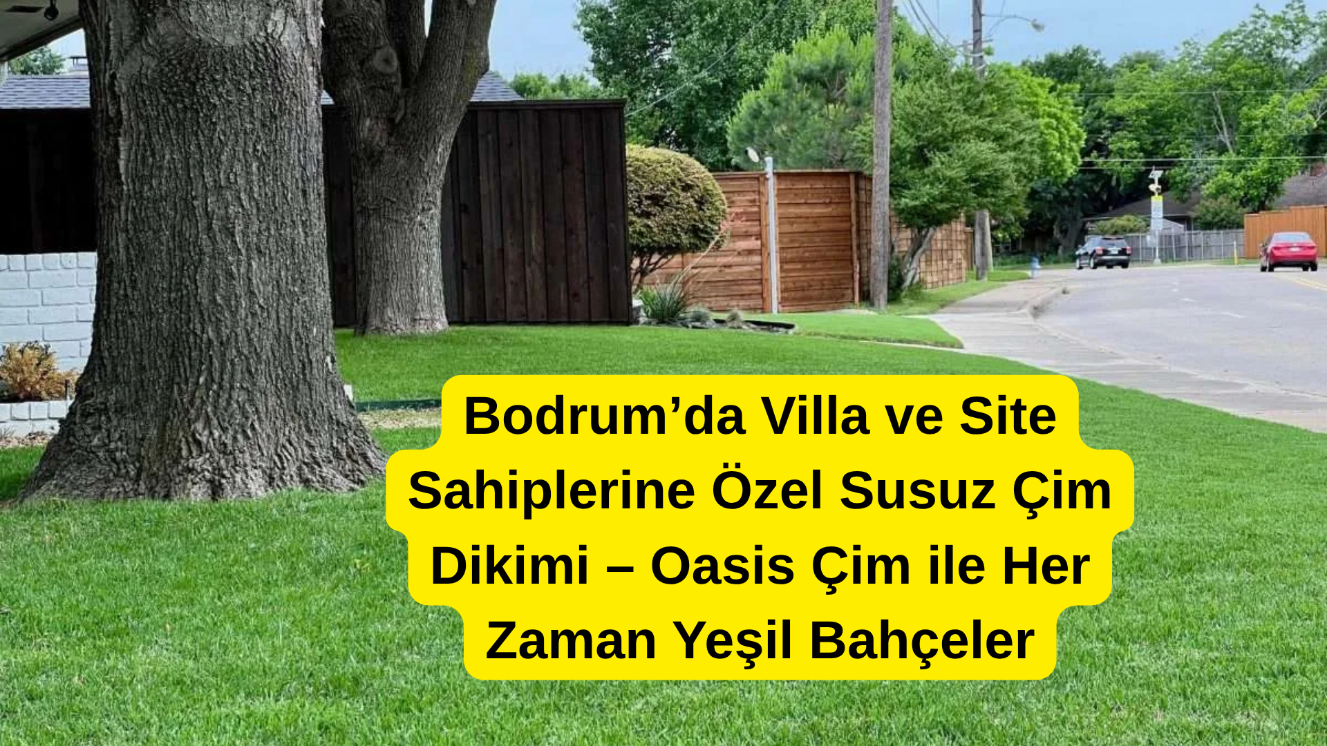 Bodrum’da Villa ve Site Sahiplerine Özel Susuz Çim Dikimi – Oasis Çim ile Her Zaman Yeşil Bahçeler