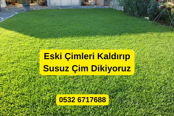 Eski Çimleri Kaldırıp Susuz Çim (Zoysia) Dikmek: Kuraklığa Dayanıklı Çim ile Bahçenizi Yenileyin