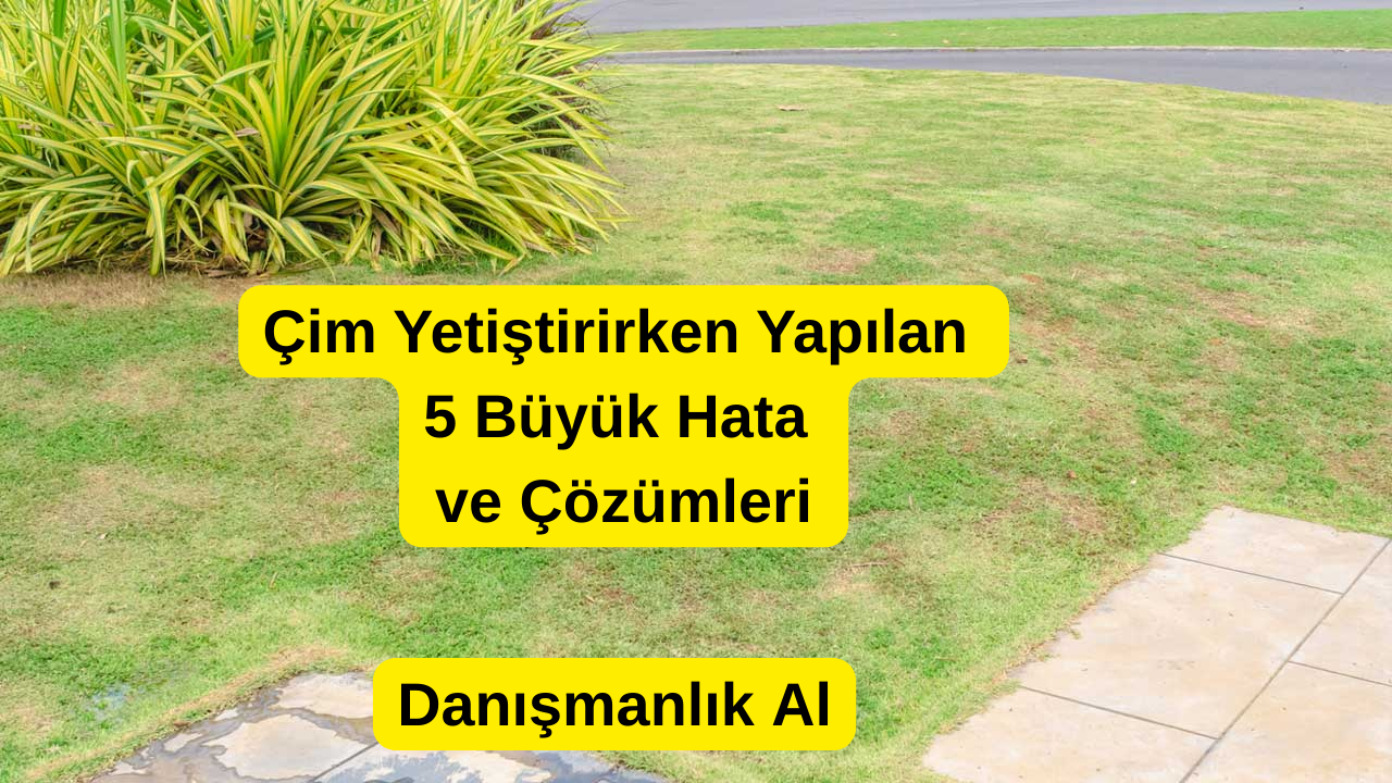 İzmir’de Çim Yetiştirirken Yapılan 5 Büyük Hata ve Çözümleri