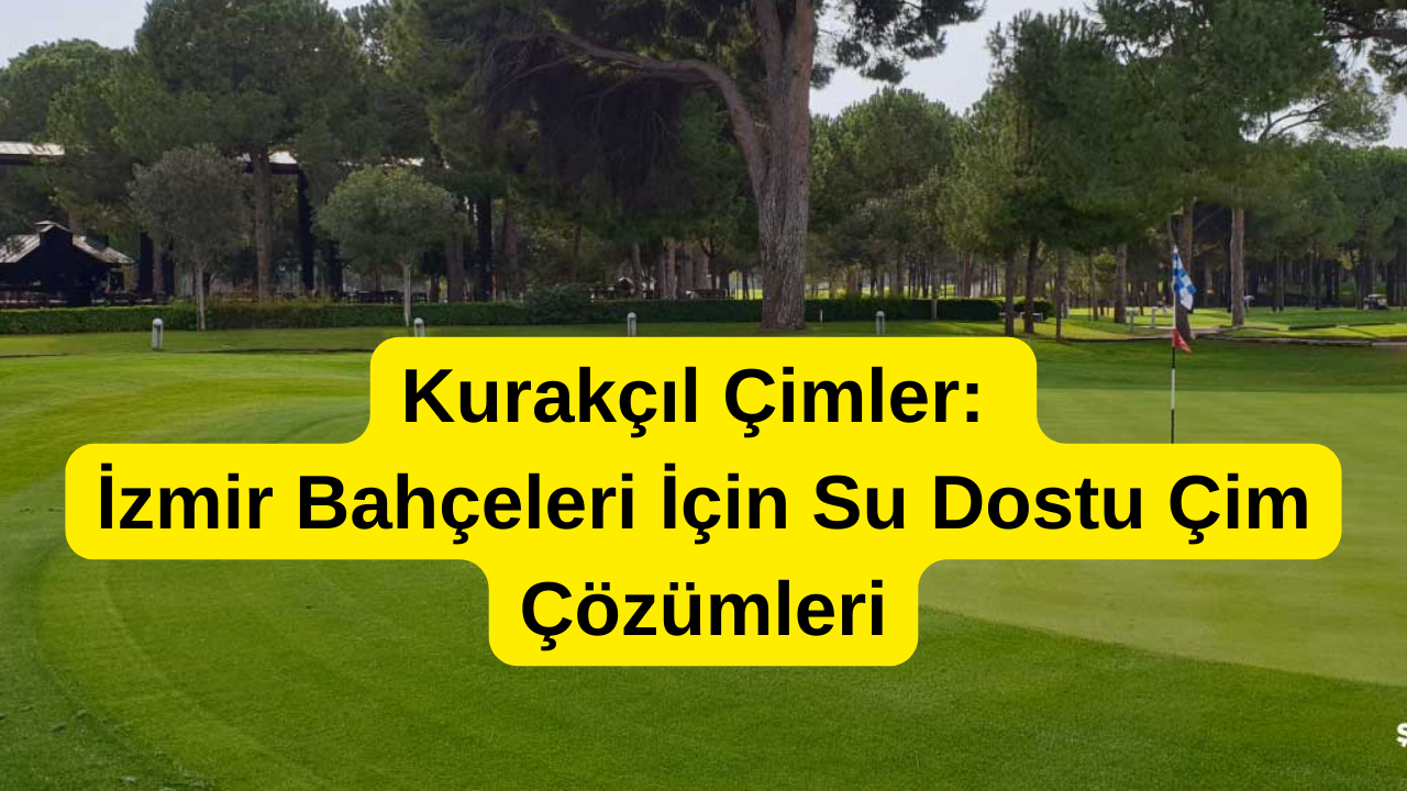 Kurakçıl Çimler: İzmir Bahçeleri İçin Su Dostu Çim Çözümleri