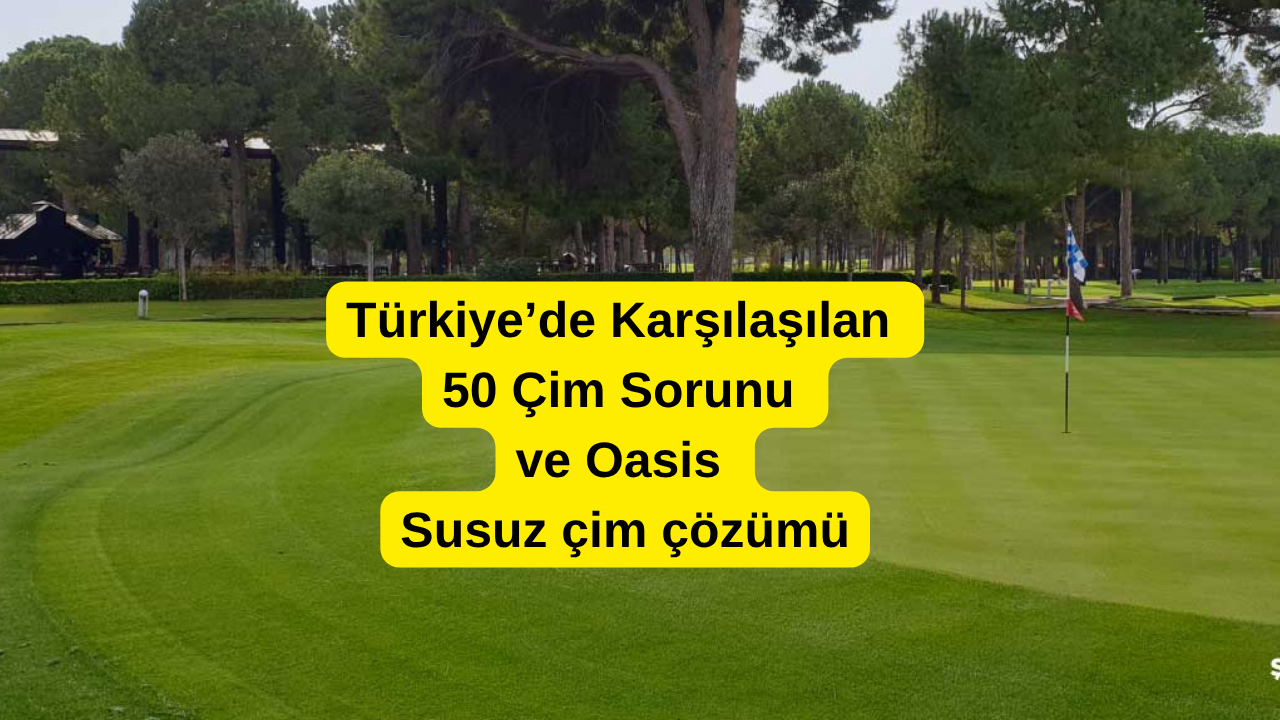 Türkiye’de Karşılaşılan 50 Çim Sorunu ve Oasis susuz çim çözümü