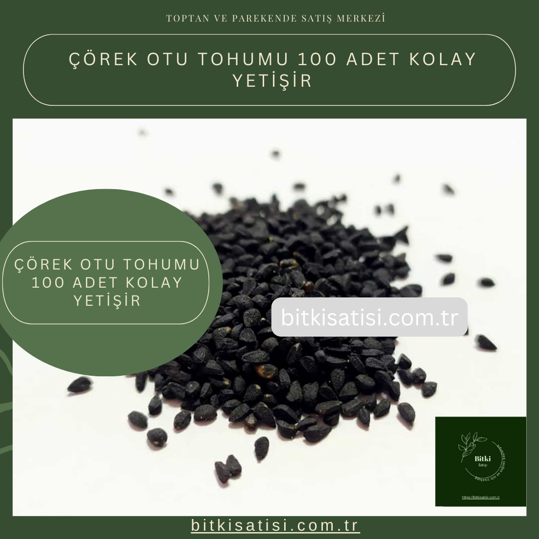 Çörek Otu Tohumu 100 Adet Kolay Yetişir