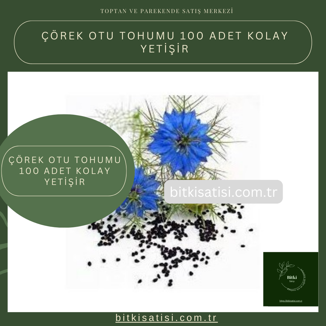 Çörek Otu Tohumu 100 Adet Kolay Yetişir