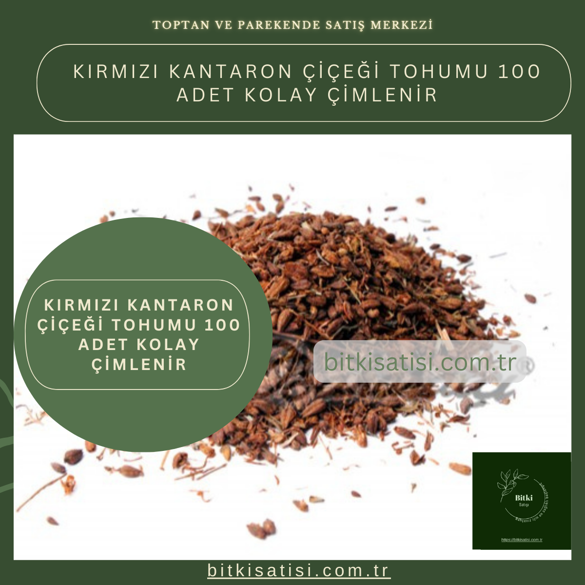 Kırmızı Kantaron Çiçeği Tohumu 100 Adet Kolay çimlenir