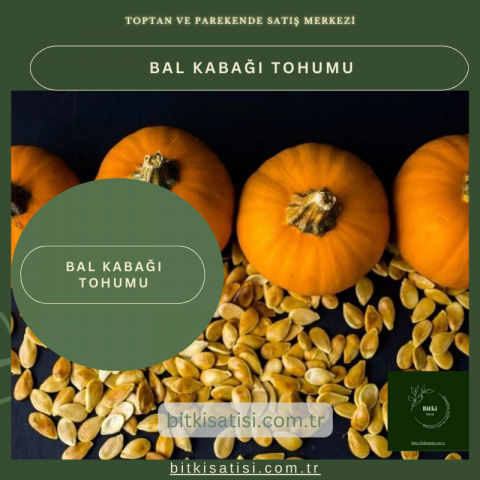 Bal Kabağı Tohumu 20 Adet Kolay Yetişir