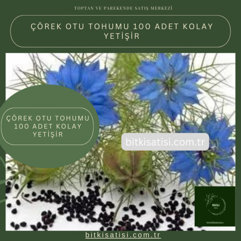 Çörek Otu Tohumu 100 Adet Kolay Yetişir