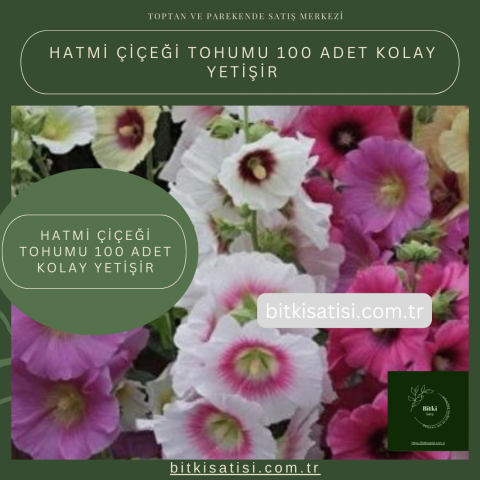 Hatmi Çiçeği Tohumu 100 Adet Kolay Yetişir