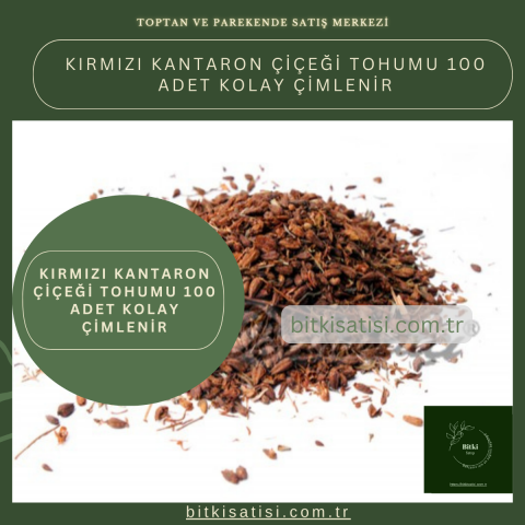 Kırmızı Kantaron Çiçeği Tohumu 100 Adet Kolay çimlenir