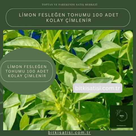 Limon Fesleğen Tohumu 100 Adet Kolay Çimlenir