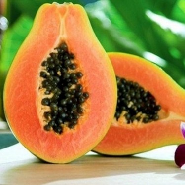 Papaya Fidanı ile Tropikal Meyve Keyfini Yaşayın - Hızlı Büyüyen Ağaç Kavunu