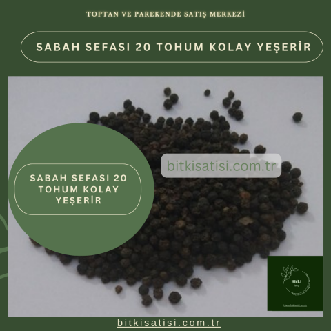 Sabah Sefası 20 Tohum Kolay Yeşerir