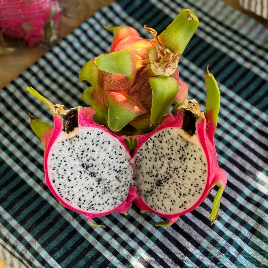 Sağlığınız İçin Doğal Beyaz Ejder Meyvesi (Pitaya) Satın Alın!
