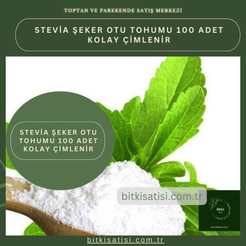 Stevia şeker Otu Tohumu 100 Adet Kolay çimlenir