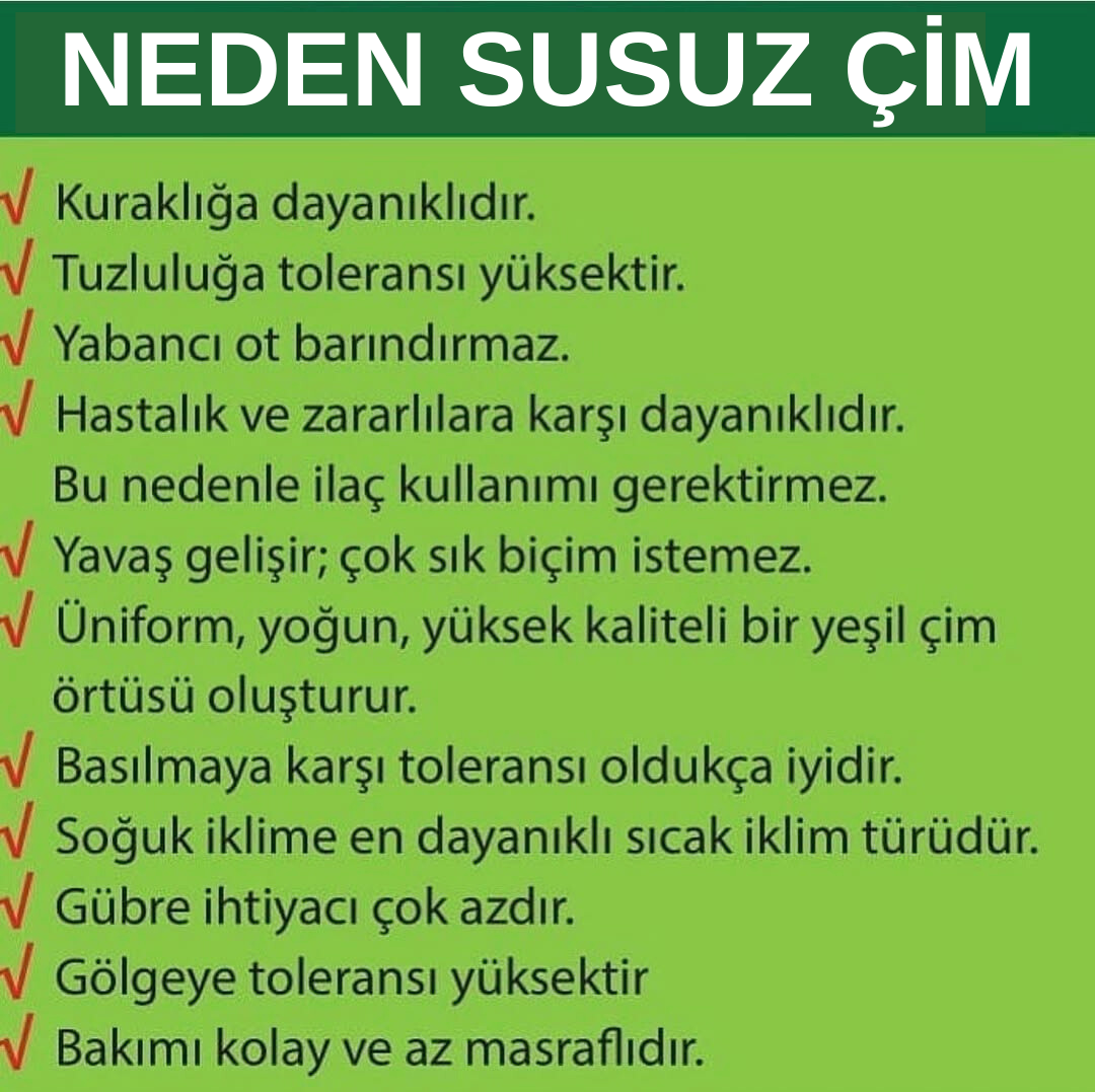Oasis Susuz Çim Yama ve Deneme Dikim Paketi