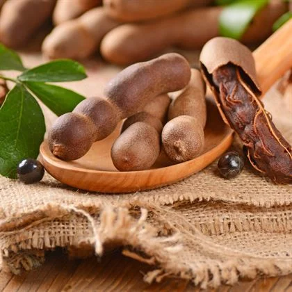 Tropikal Bahçeniz İçin Demirhindi Ağacı Fidanı Satışı