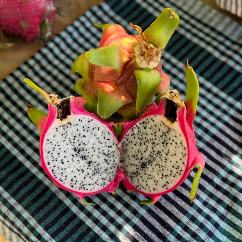 Sağlığınız İçin Doğal Beyaz Ejder Meyvesi (Pitaya) Satın Alın!