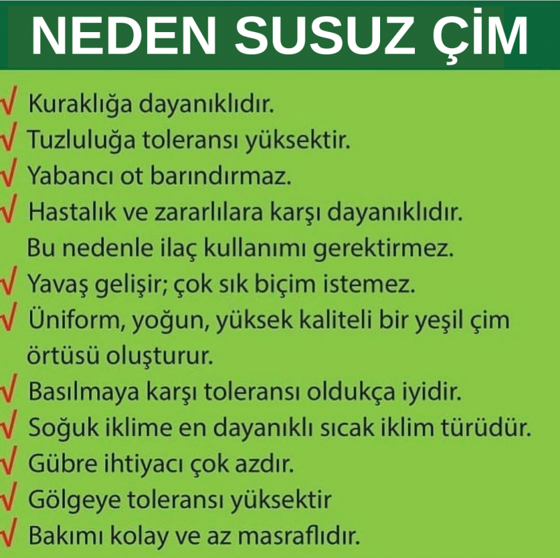 Oasis Susuz Çim Yama ve Deneme Dikim Paketi